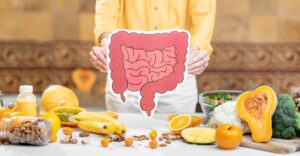 Bowel model and variety of healthy foods